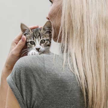Limpieza de geometría variable y equilibrado en España